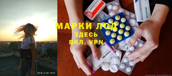 ешки Аркадак