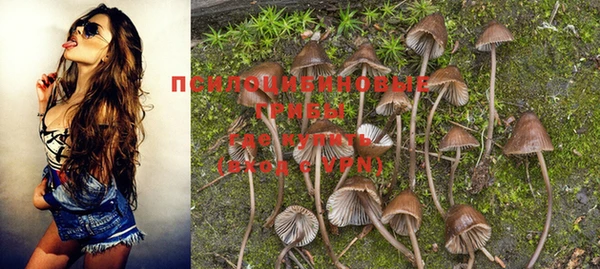 прущая мука Балабаново