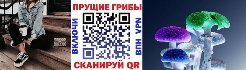 как найти наркотики  Краснознаменск  Галлюциногенные грибы GOLDEN TEACHER 